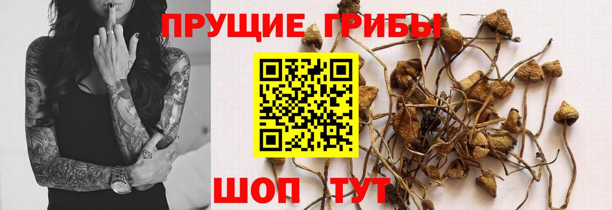 Псилоцибиновые грибы MAGIC MUSHROOMS Нижнекамск