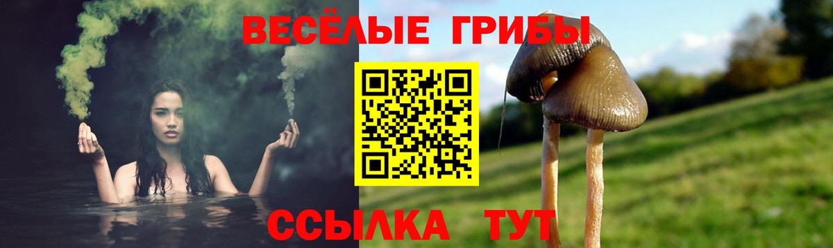 Галлюциногенные грибы GOLDEN TEACHER  Вход с VPN  Нижнекамск 